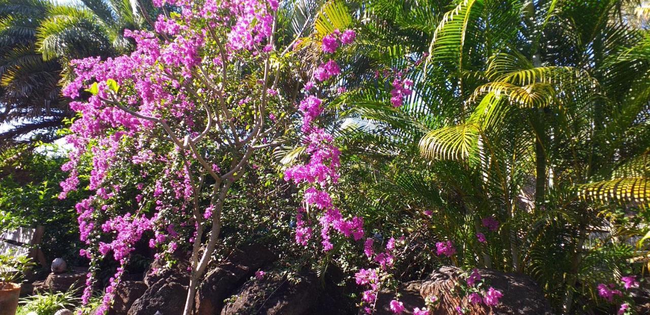 Brahmanhut - Eco Hut Experience In Harmony With Nature, Wellbeing And Spirit Bain Boeuf Exterior foto
